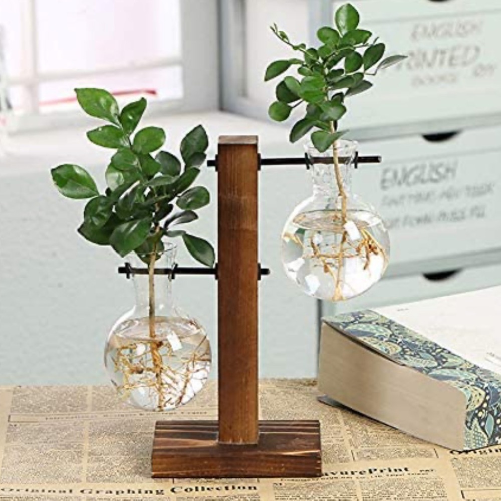 Hydroponic Vase